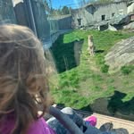 Rene Herrmann - @rh_2605 - Instagram
