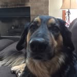 Brooklyn Rene' Hines - @brooklynhines27 - Instagram