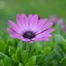 Rene Hines - Facebook