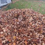 René Houle - @houle6569 - Instagram
