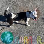 Rene Ingram - Facebook