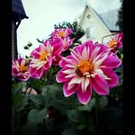 rene john - @renejohn66 - Instagram