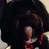 Rene Kelley - @rene.kelley0 - TikTok