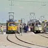 Rene Kemp - @rene.kemp6 - TikTok