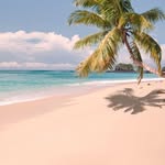 Renée Lamarche - @beachgal15 - Instagram