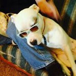 Rene Larson Thompson - @rene.l.thompson.3 - Instagram