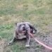 Renee Larson - Facebook