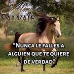Rene Lazo Vilchez - @lazovilchezrene - Instagram