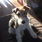René-Pierre Leduc - @petybeboy - Instagram