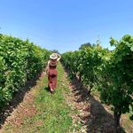 Renée Legault - @rclglt - Instagram