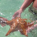 Renee legault - @hoponvacations - Instagram