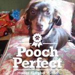 Renee Legault - @sunflowermommato3 - Instagram