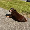reneelegault539 - @reneelegault539 - TikTok