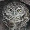 Rene Leon - @rene.leon738 - TikTok