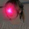 ReneeLester - @rosalpesgcd - TikTok