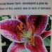 Rene M Levesque - Facebook