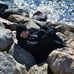 Rene Levin - Facebook