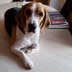 Rene Lorenz - @rene.lorenz.fahrbinde - Instagram