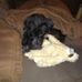 Rene Ludwig - Facebook