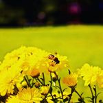 Rene - @rene.lynch_wj5w0 - Instagram