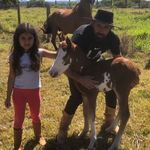 Rene Machado Neto - @renemachadoneto - Instagram