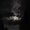renee machado - @renee_machado2 - TikTok