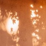 Rene Maier - @renemaier8 - Instagram