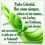Rene JR Mancia - @renemancia1 - Instagram