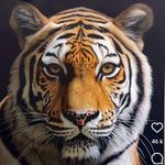 René Marchand - @zenumber51tiger - Instagram