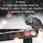 René Mérida Lagos - @renemeridalagos - Instagram