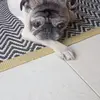 juliorenemessiera - @juliorenemessiera - TikTok