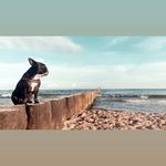 Rene Mills - @rene_mills_wzbq - Instagram