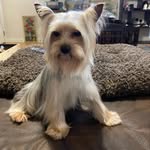 Rene Mills - @littlewigglebottoms - Instagram