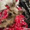 renee.mills - @renee.m19 - TikTok