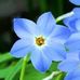 Renee Mitchell - Facebook