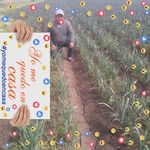 Rene Moncada - @rene.moncada.7524 - Instagram