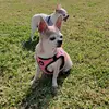 Rene Moncada - @rene.moncada0 - TikTok