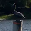Rene Moore - @rene.moore1 - TikTok