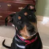 renemorgan349 - @renemorgan349 - TikTok