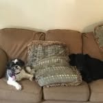 Rene Morrison - @rene68064 - Instagram