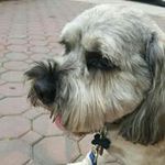 Rene Negron - @jcardo01yahoo.com_ - Instagram