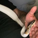 Rene Palacios - @renep98 - Instagram