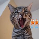 Rene Palacios - @palacios5151 - Instagram