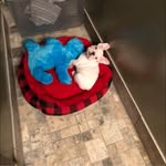 Tammy Parsons - @tammyreneparsons - Instagram
