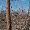 Rene Peñaranda - @rene.pearanda6 - TikTok