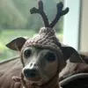 reneepennington5 - @reneepennington5 - TikTok