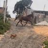 Rene Peterson - @rene.peterson44 - TikTok