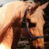 reneepike - @renee.pike7 - TikTok