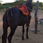 Rene Fernandez Polanco - Facebook