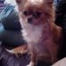 Rene Polzin - Facebook